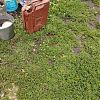 Продам канистру под. Бензин за 300 руб в хорошем состоянии за наличку в Юрге