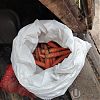 Продам 54 ведра картошки за…