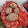 Продам картофель. в Юрге