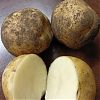 Продам картофель в Юрге