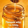 Продам мёд и чеснок. в Юрге