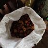 Продам 11 ведер картошки за…