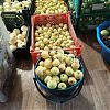 Продам ранетки желтые. в Юрге