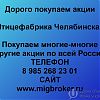 Покупаем акций «Птицефабрика Челябинская» по высоким ценам без налога! в Юрге