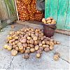 Продам картофель. в Юрге