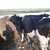 Изготовитель пластиковых окон в Юрге