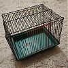 Продам клетку для животного Размеры: высота 18 см, глубина 17, 5 см, ширина 22, 5 см в Юрге